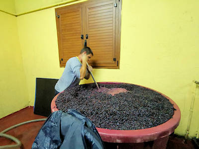 Anstregende Arbeit, bis der Wein in den Amphoren ist ...