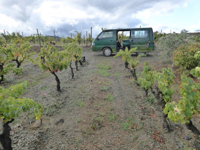 Mit dem Bus durch Clos Mogador