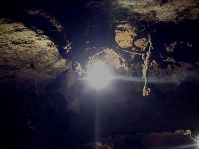 Kellertuch mit Bewohnerin ...