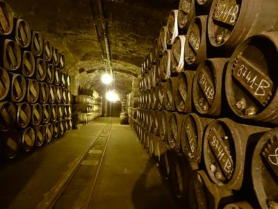 Licht fr den Keller ...