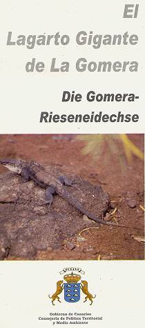 Im Lande der Riesen-Eidechsen ...