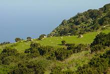 Landschaft oberhalb von Las Organos (3) ... Landschaft oberhalb von Las Organos (3) ...