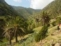 Im Tal von Vallehermoso (1) ... Im Tal von Vallehermoso (1) ...