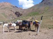 Bereit zum Mulitransport ...