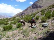 berholt von Mulis ...