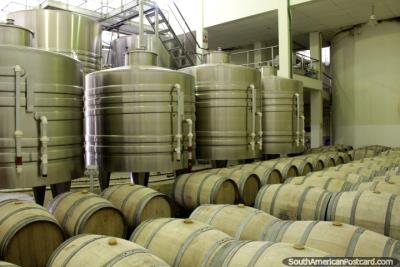 Weinproduktion bei Kohlberg ...