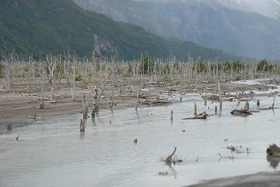 Vorbei am Vulkan Hudson ...