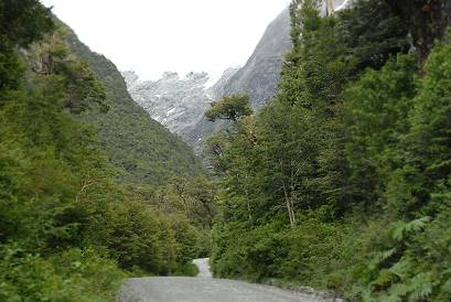 Strecke durch tiefen Urwald ...