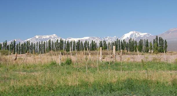 Das Leben hier hat eine andere Taktrate als in Deutschland ...