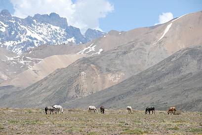 Der nchste Zaun 50 km entfernt ...
