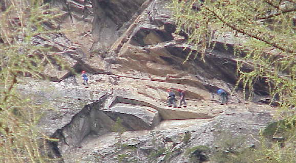 Blick von unten: Das Tele machts mglich - wo krabbeln sie denn?
