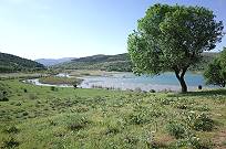 Kleines Vogelparadies, Flussmndung, Schilfzone, Froschquaken ...