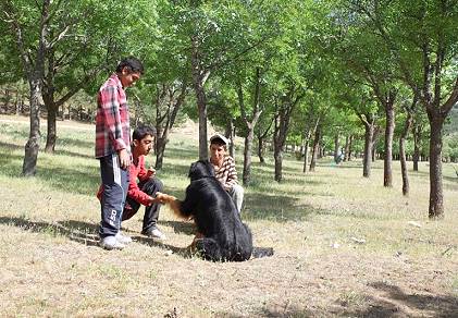 Die Hirtenbuben spielen mit Kasper ...