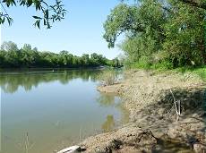 Die Sava bei Krapje: lehmig braun und trge