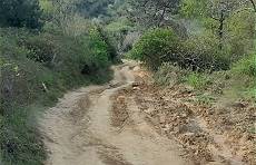 Fast schon Offroad zur Schwarzmeerkste