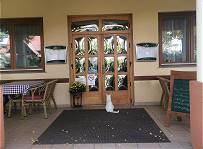 Diese Katze kennt die Speisekarte!