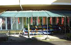 Gelungene Prsentation ...