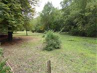 ... und tollen Grundstcken ...