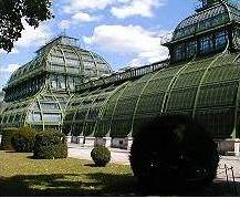 ... und Palmengarten ...