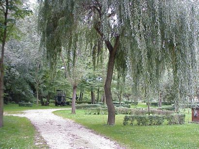 Gut getarnt, ganz hinten im Grnen ...