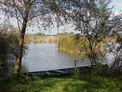 ... in den Seitenarmen der Donau ...