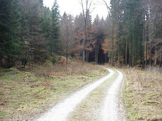 Bild #1: Blick vom Confluence-Punkt nach Süden Bild #1: Blick vom Confluence-Punkt nach Süden