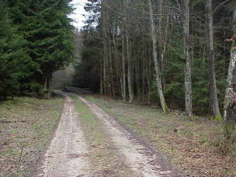 Bild #2: Blick vom Confluence-Punkt nach Norden Bild #2: Blick vom Confluence-Punkt nach Norden