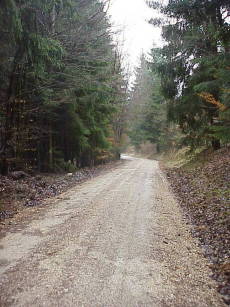 Bild #1: Blick nach Osten