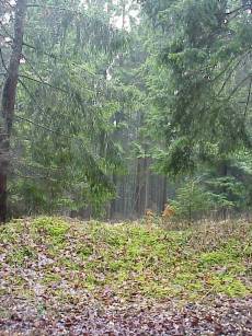 Bild #2: Blick nach Sden