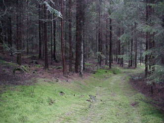 Bild #1: Blick nach Westen