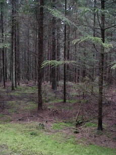 Bild #3: Blick nach Norden