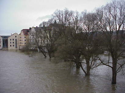Hochwasser, soweit das Auge reicht ...