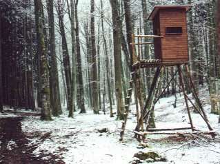 Dennis C.: Hochsitz, ca. 130 m entfernt vom Confluence N49� E011�