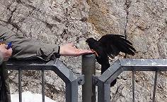 Handlandung geglckt: After-Landing-Snack gefllig?