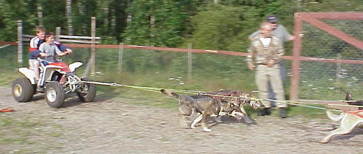 Aus dem Weg - jetzt kommen wir!