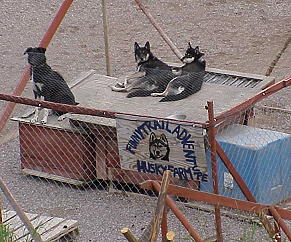 Was steht denn heute auf dem Programm?