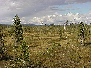 Hinaus ins weite Fjll!