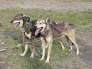 Line out! Das Kommando können wir perfekt! Line out! Das Kommando können wir perfekt!