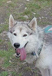 Wie wär's mit einer Tour? Wie wär's mit einer Tour?