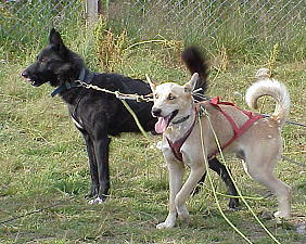 Was machen die denn da vorne? Was machen die denn da vorne?