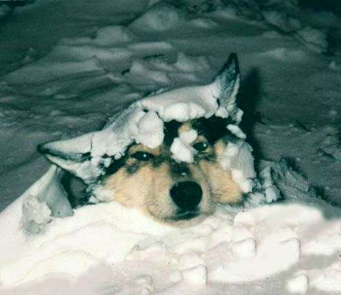 Herzlich Willkommen!