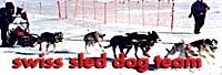 Swiss Sled Dog Team